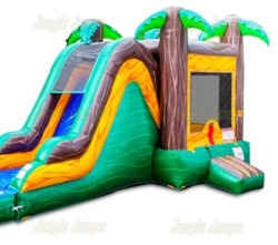 Paradise Palm Combo20dry202 1774463147 Paradise Palm Combo