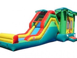 Jungle Backyard Slide Combo
